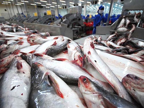 US-Senat hebt Kontrolle für vietnamesischen Pangasius auf - ảnh 1